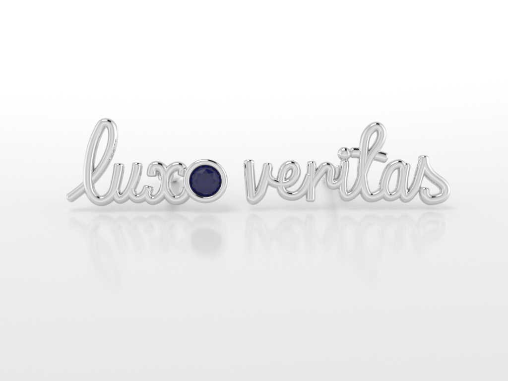 Lux Veritas Earrings - Rebecca Walls Jewelry