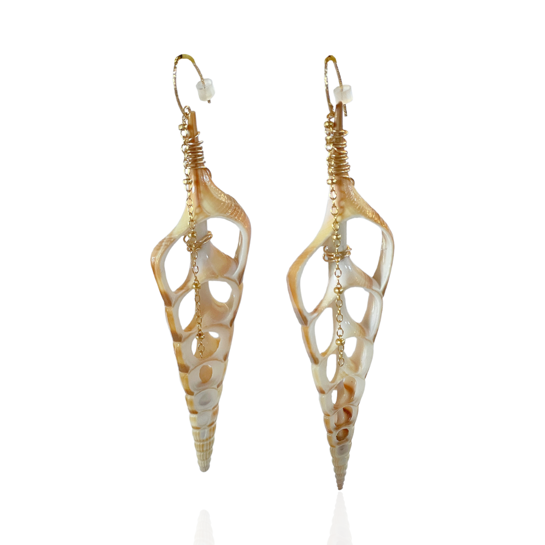 Grotto Natural Shell Earrings - Rebecca Walls Jewelry