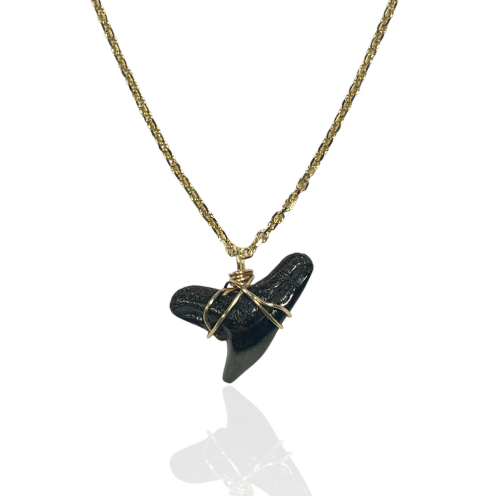 Natural Shark Tooth Necklace - Rebecca Walls Jewelry